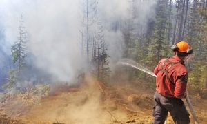 Catching fire: BC wildfires are bigger, hotter and more consequential than ever