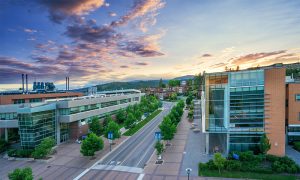 New action plan focuses on opportunities to increase equity, diversity and inclusion in research at UBC