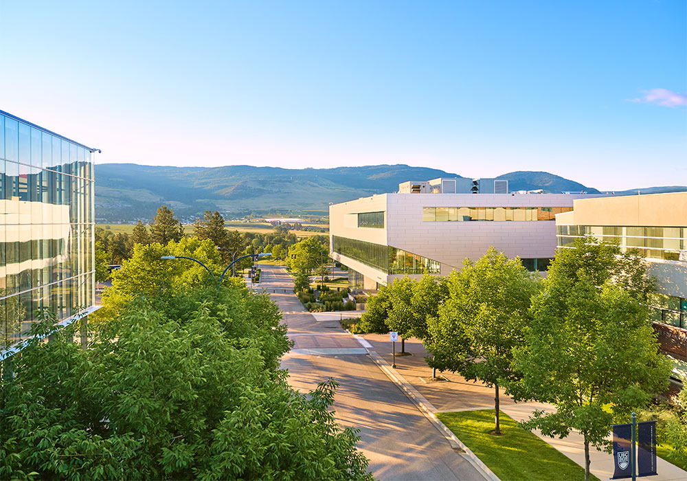 View east down University Way towards the Commons with green trees and blue sky.