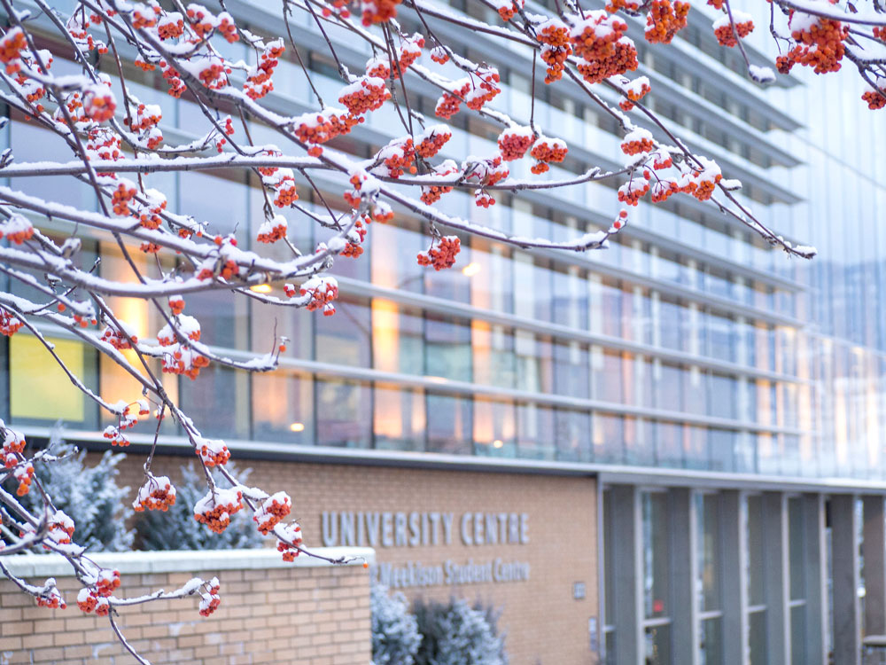 Snowy branches with small red berries in the foreground, with the University Centre blurred in the background. 