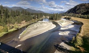 UBCO research shows how healthy plants help rivers meander