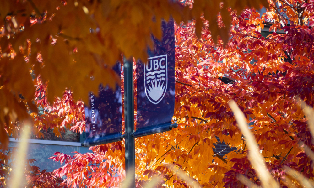 Photograph of fall leaves with UBC banner