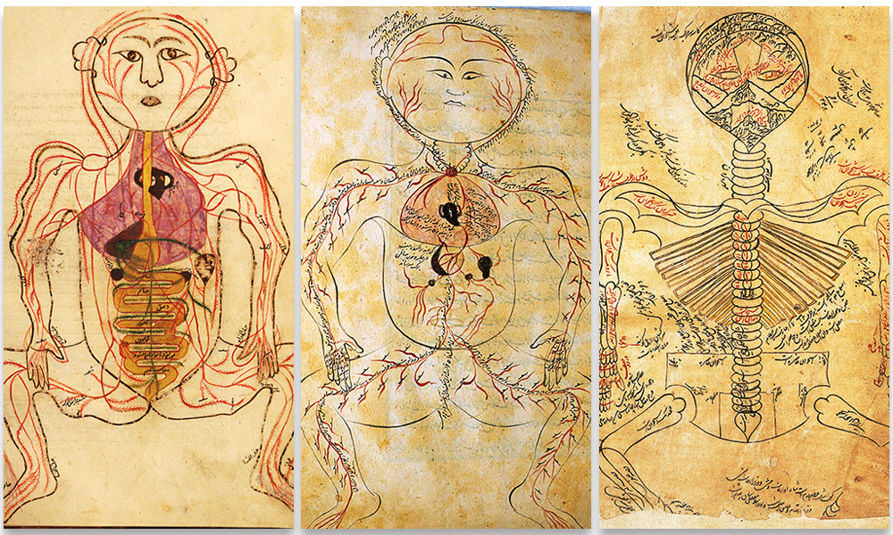 Three-panel composite of medieval anatomical drawings showing the human vascular and nervous systems, created by Islamic scholars in the 11th to 14th centuries.